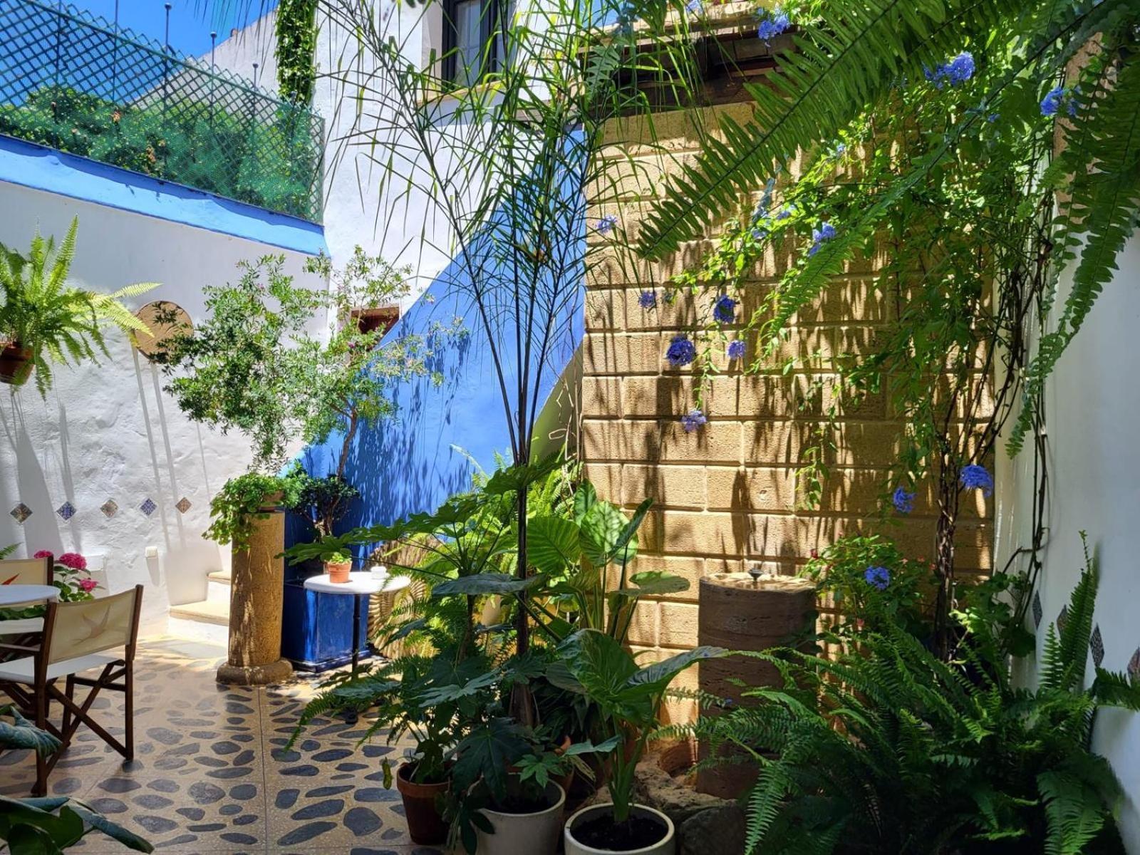Hostal Casa Alborada 콘일데라프론테라 외부 사진